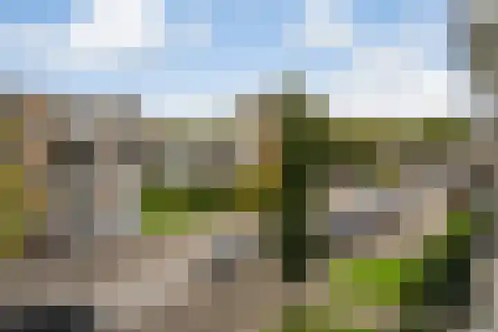 Lemsterhoek 28 Rotterdam thumbnail 6