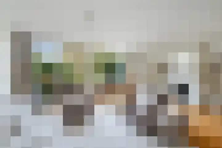 Lemsterland 18 Zoetermeer thumbnail 11