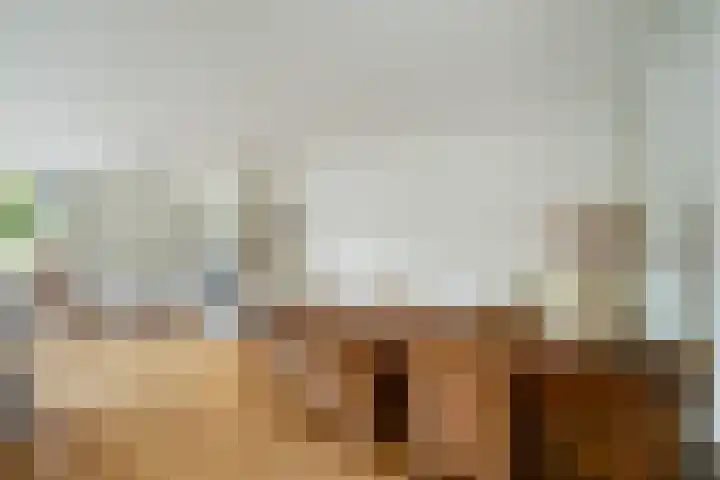 Lemsterland 18 Zoetermeer thumbnail 15