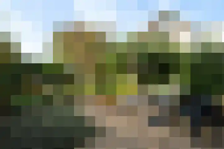 Lemsterland 18 Zoetermeer thumbnail 20