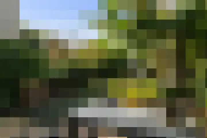 Lemsterland 18 Zoetermeer thumbnail 21
