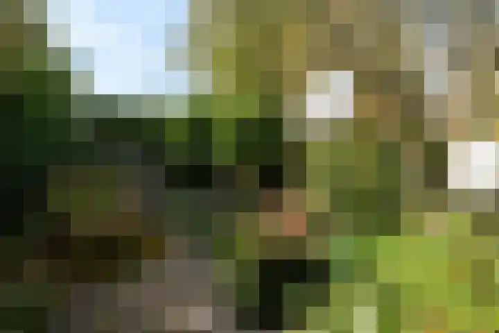 Lemsterland 18 Zoetermeer thumbnail 22
