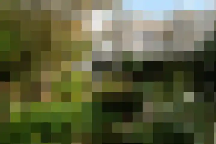 Lemsterland 18 Zoetermeer thumbnail 23