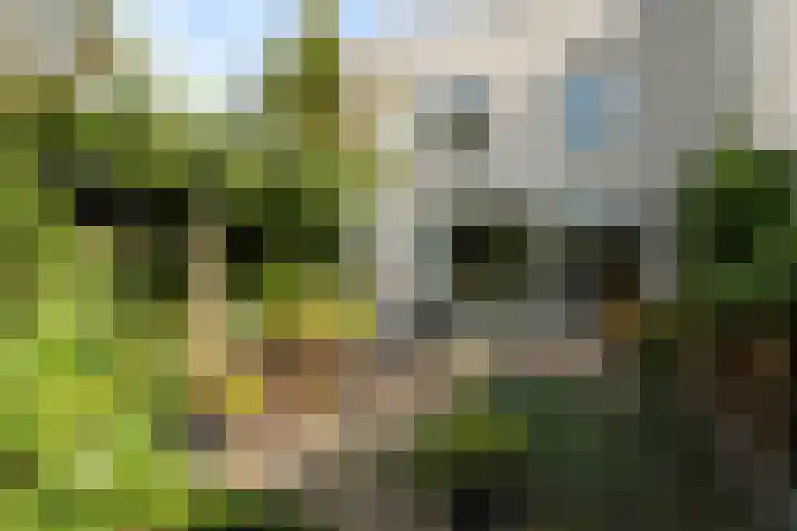 Lemsterland 18 Zoetermeer thumbnail 24