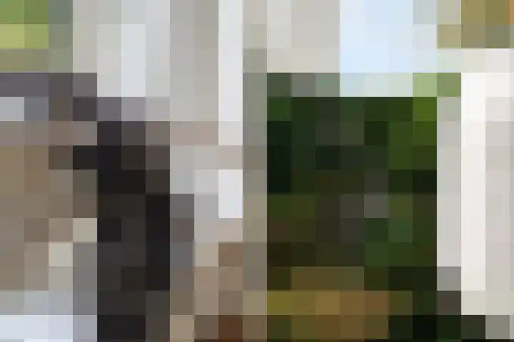 Lemsterland 18 Zoetermeer thumbnail 25