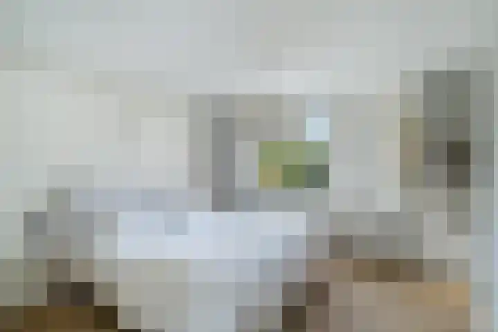 Lemsterland 18 Zoetermeer thumbnail 30