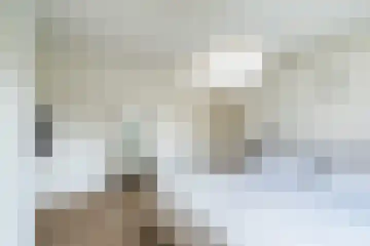 Lemsterland 18 Zoetermeer thumbnail 31