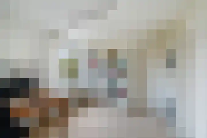 Lemsterland 18 Zoetermeer thumbnail 32