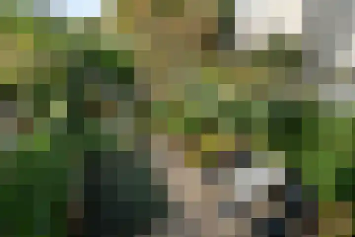 Lemsterland 18 Zoetermeer thumbnail 34