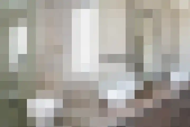 Lemsterland 18 Zoetermeer thumbnail 36