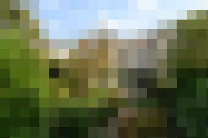 Lemsterland 18 Zoetermeer thumbnail 4