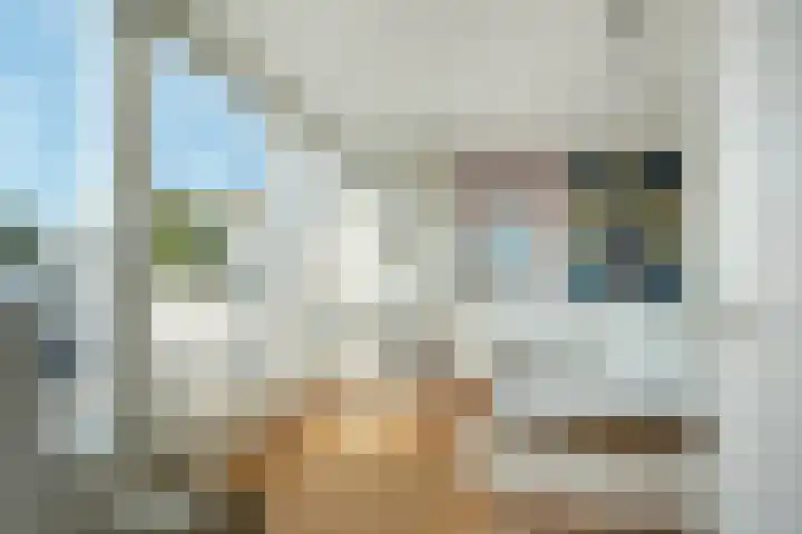 Lemsterland 18 Zoetermeer thumbnail 41