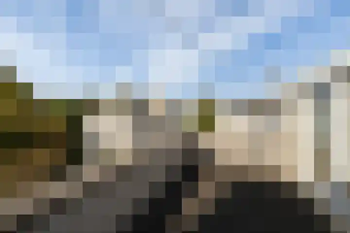Lemsterland 18 Zoetermeer thumbnail 46