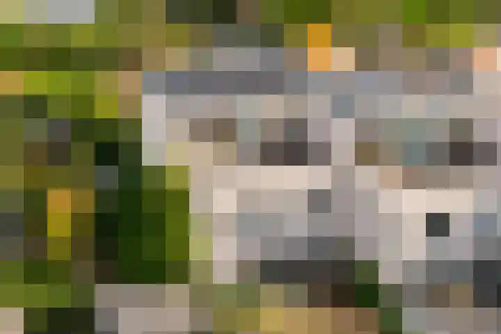 Lemsterland 18 Zoetermeer thumbnail 49