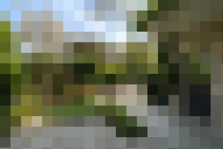 Lemsterland 18 Zoetermeer thumbnail 50