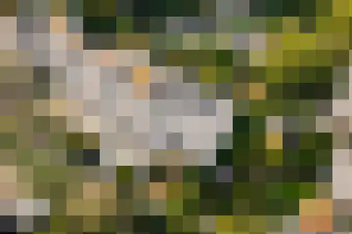 Lemsterland 18 Zoetermeer thumbnail 57