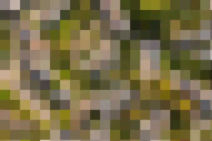 Lemsterland 18 Zoetermeer thumbnail 58