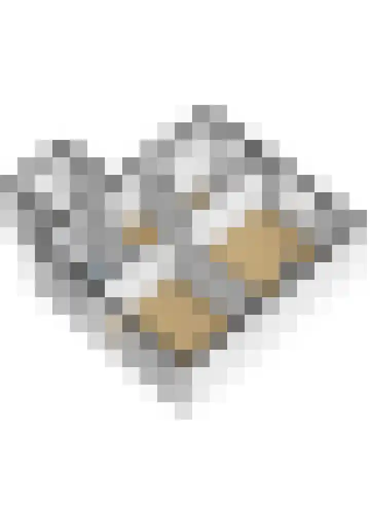 Lemsterland 18 Zoetermeer thumbnail 65