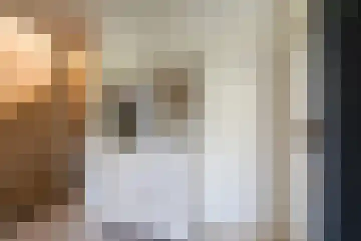 Lemsterland 18 Zoetermeer thumbnail 7