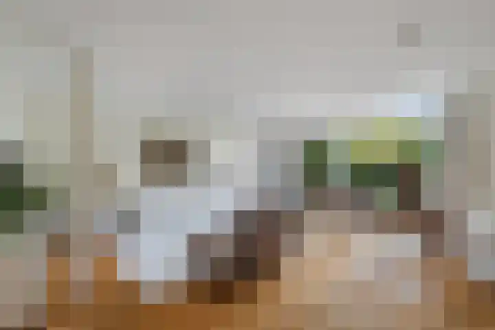 Lemsterland 18 Zoetermeer thumbnail 9