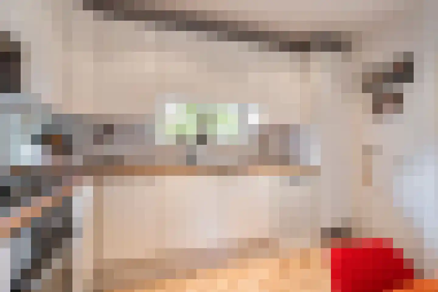 Lemsterland 7 Zoetermeer thumbnail 14