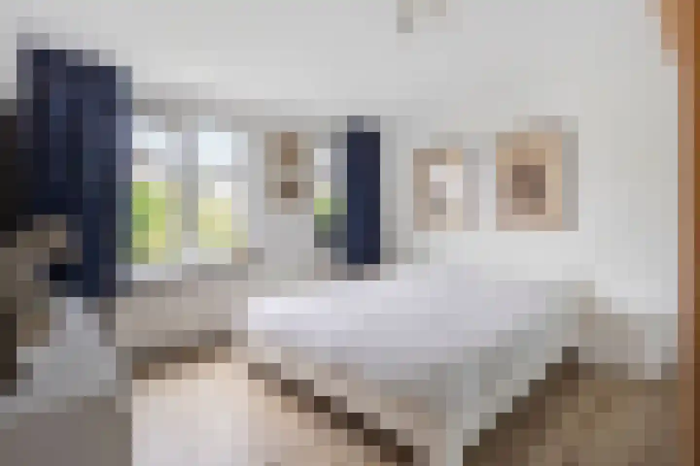 Lemsterland 7 Zoetermeer thumbnail 16