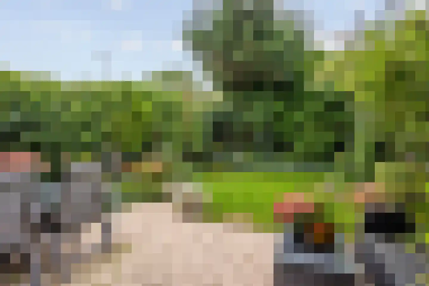 Lemsterland 7 Zoetermeer thumbnail 32