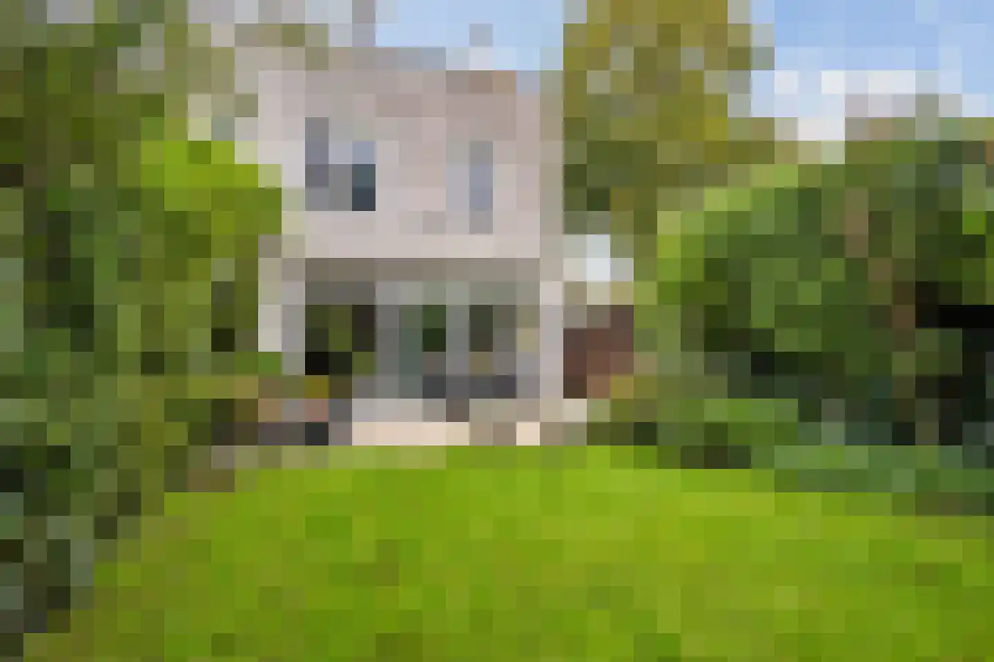 Lemsterland 7 Zoetermeer thumbnail 34