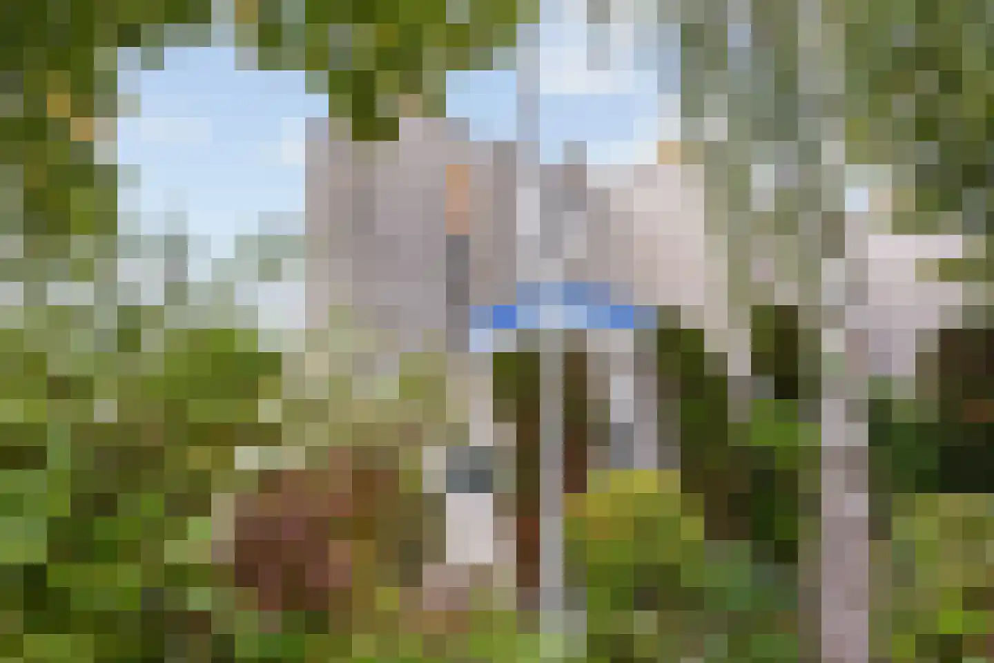 Lemsterland 7 Zoetermeer thumbnail 36