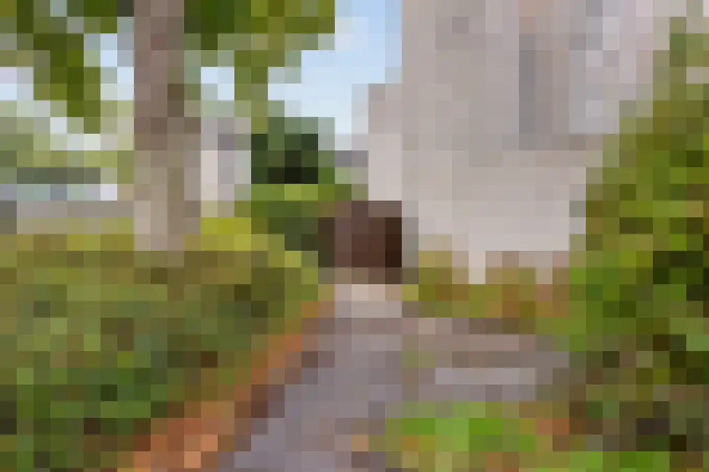 Lemsterland 7 Zoetermeer thumbnail 37