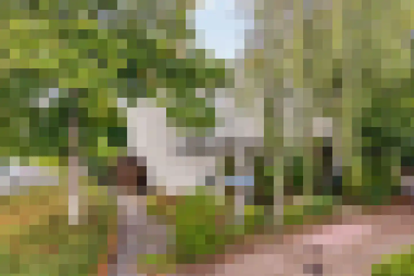 Lemsterland 7 Zoetermeer thumbnail 42