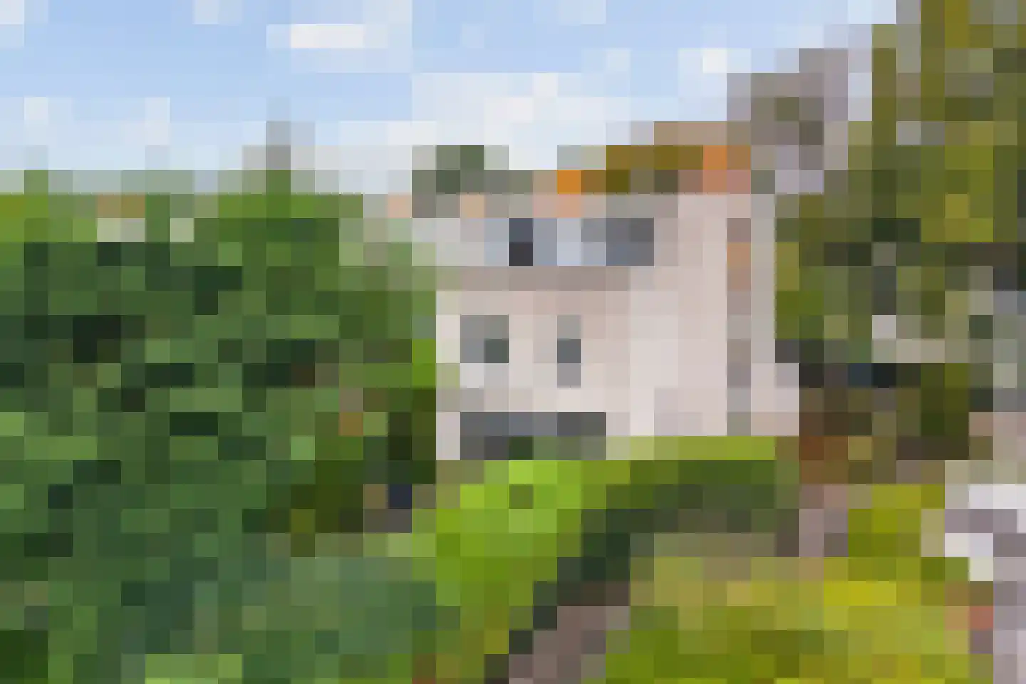 Lemsterland 7 Zoetermeer thumbnail 43