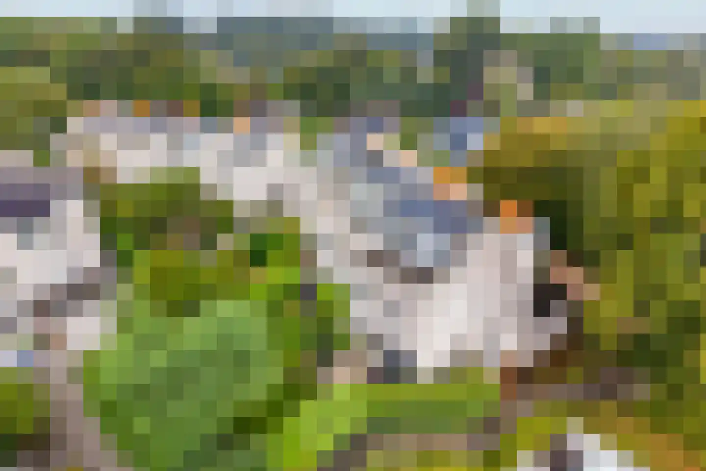 Lemsterland 7 Zoetermeer thumbnail 44