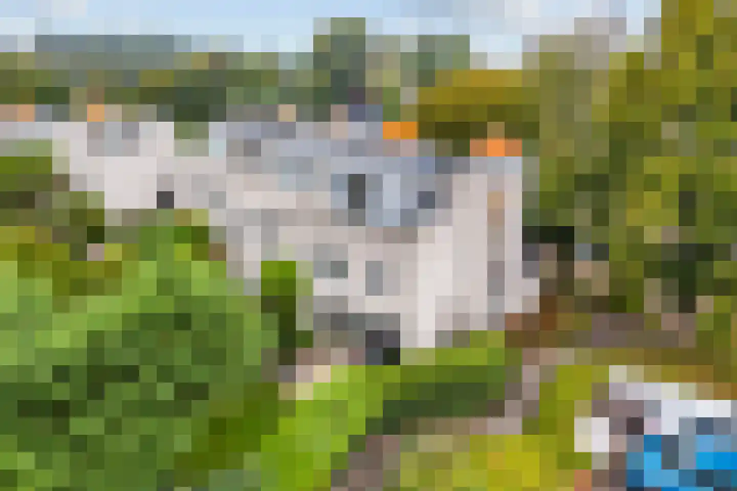 Lemsterland 7 Zoetermeer thumbnail 45