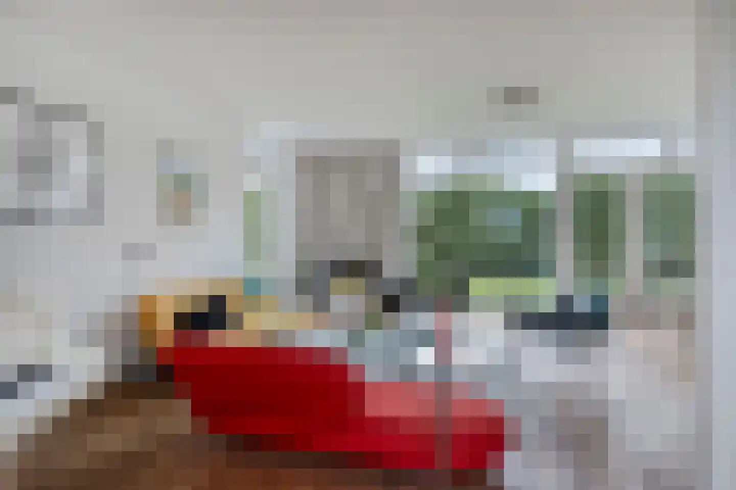 Lemsterland 9 Zoetermeer thumbnail 10
