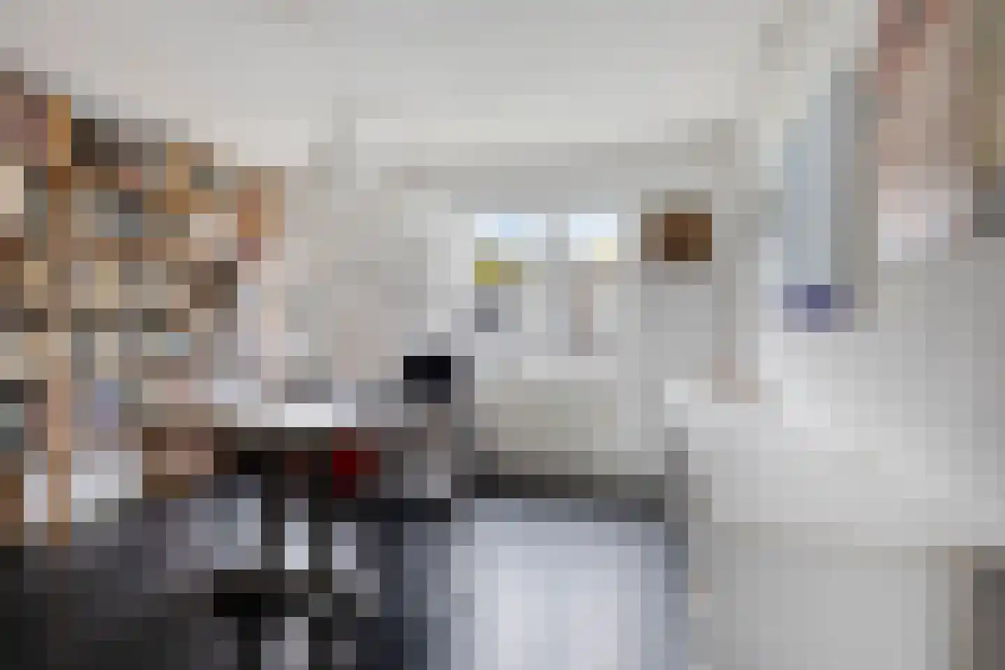 Lemsterland 9 Zoetermeer thumbnail 30
