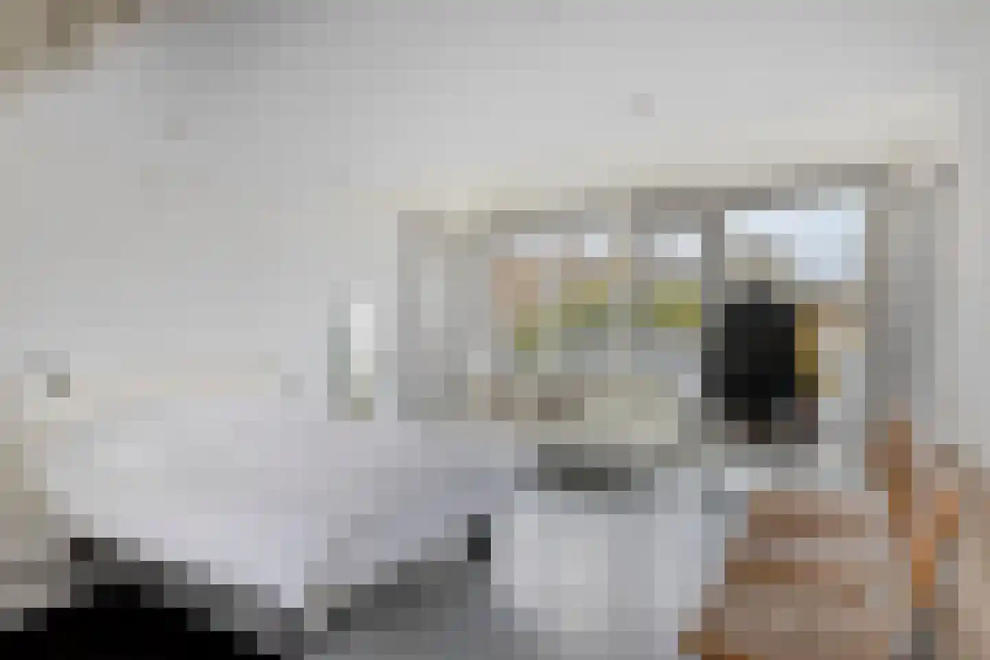 Lemsterland 9 Zoetermeer thumbnail 33