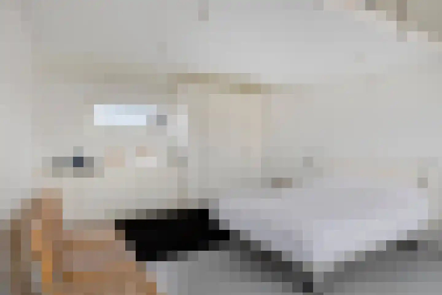Lemsterland 9 Zoetermeer thumbnail 34