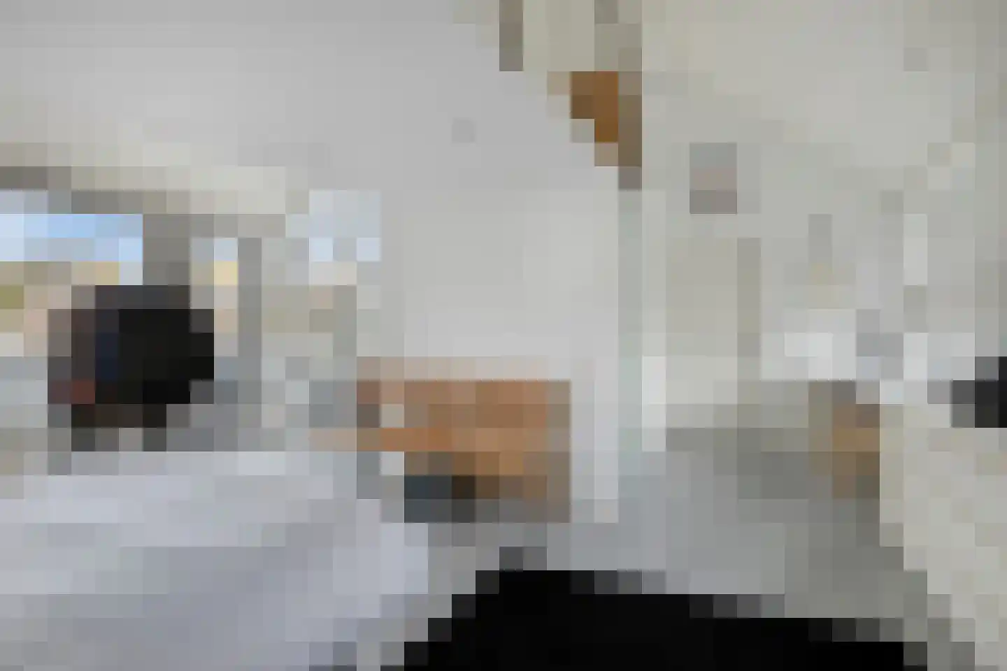 Lemsterland 9 Zoetermeer thumbnail 35