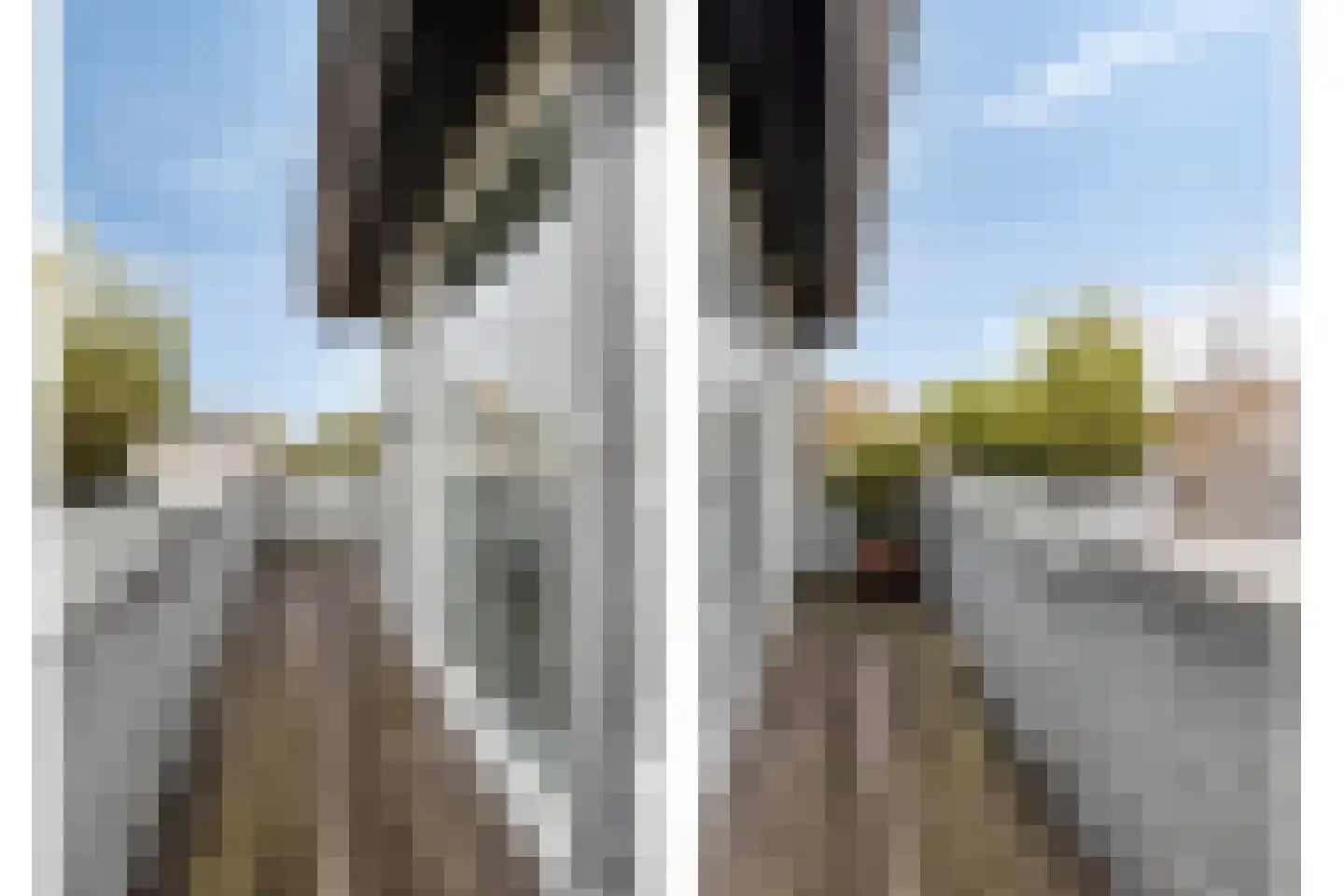 Lemsterland 9 Zoetermeer thumbnail 39