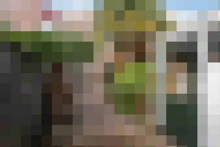 Lemsterlandhoeve 22 Vlaardingen thumbnail 17