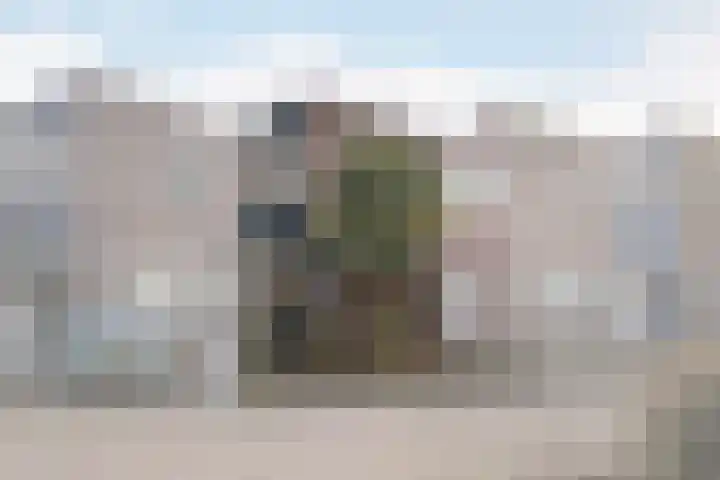 Lemsterlandhoeve 22 Vlaardingen thumbnail 4