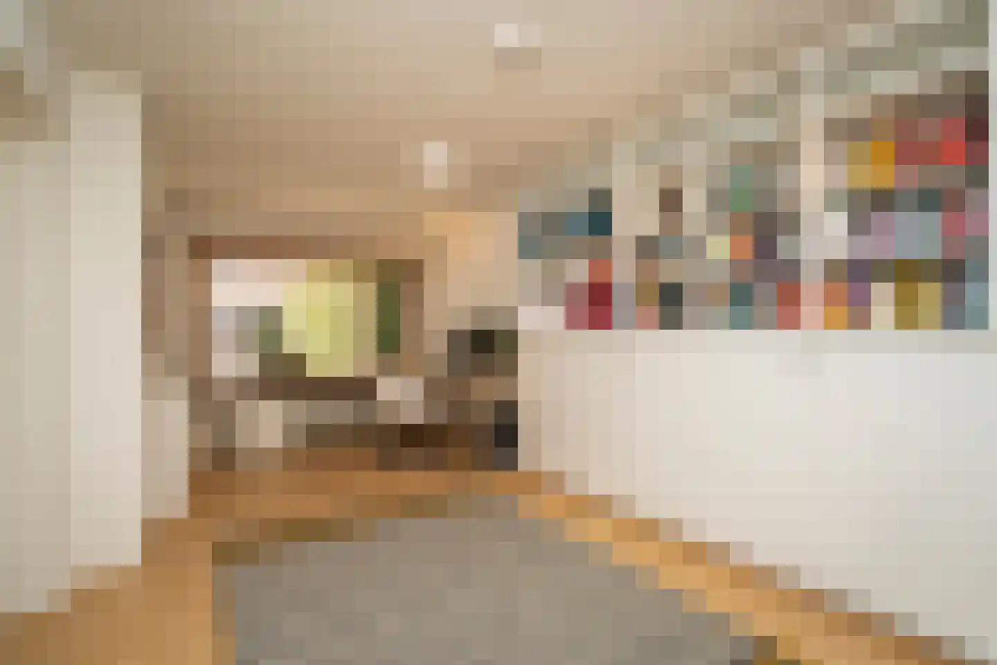 Lemsterlandstraat 7 Tilburg thumbnail 24