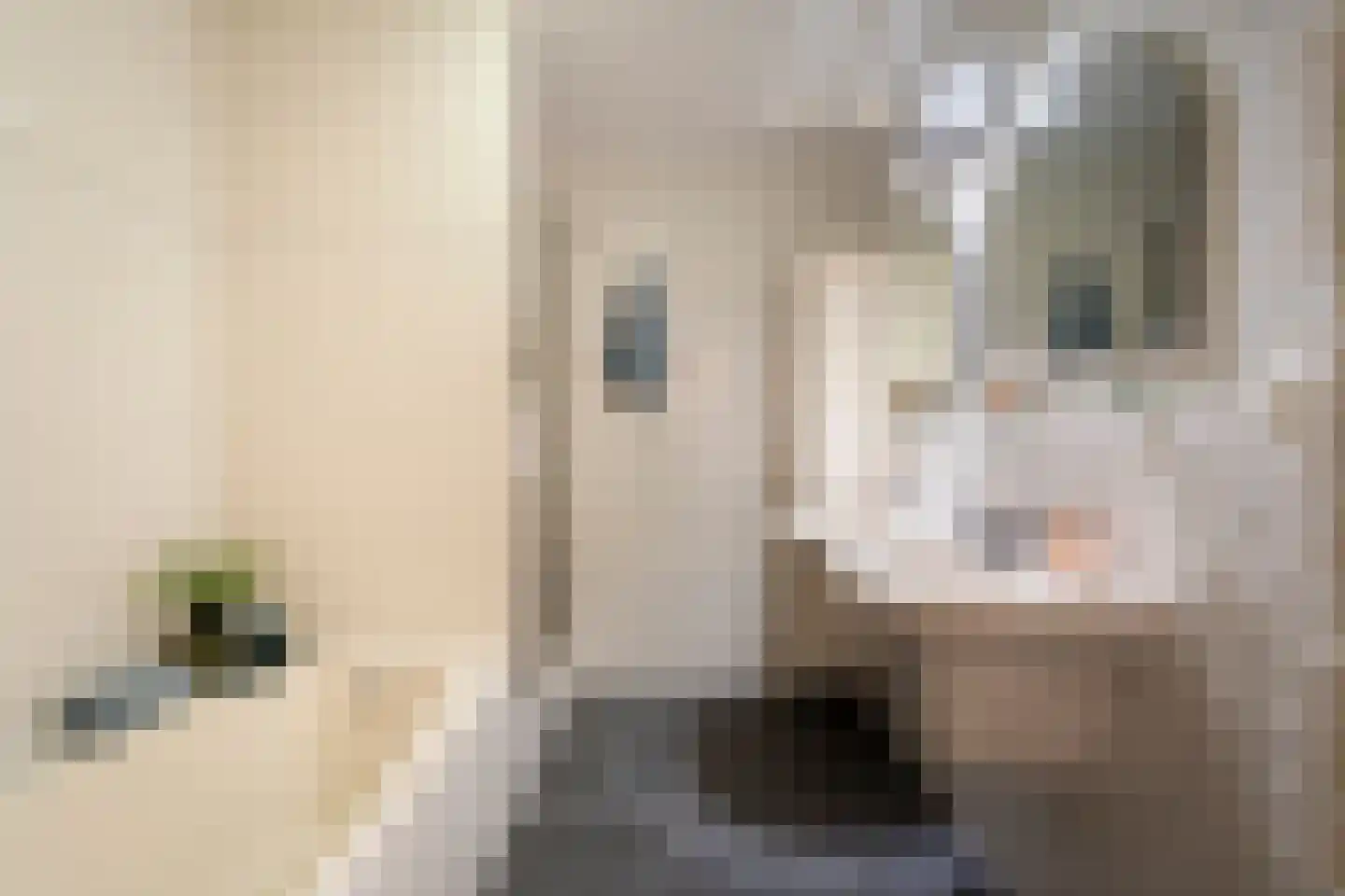 Lemsterlandstraat 7 Tilburg thumbnail 38
