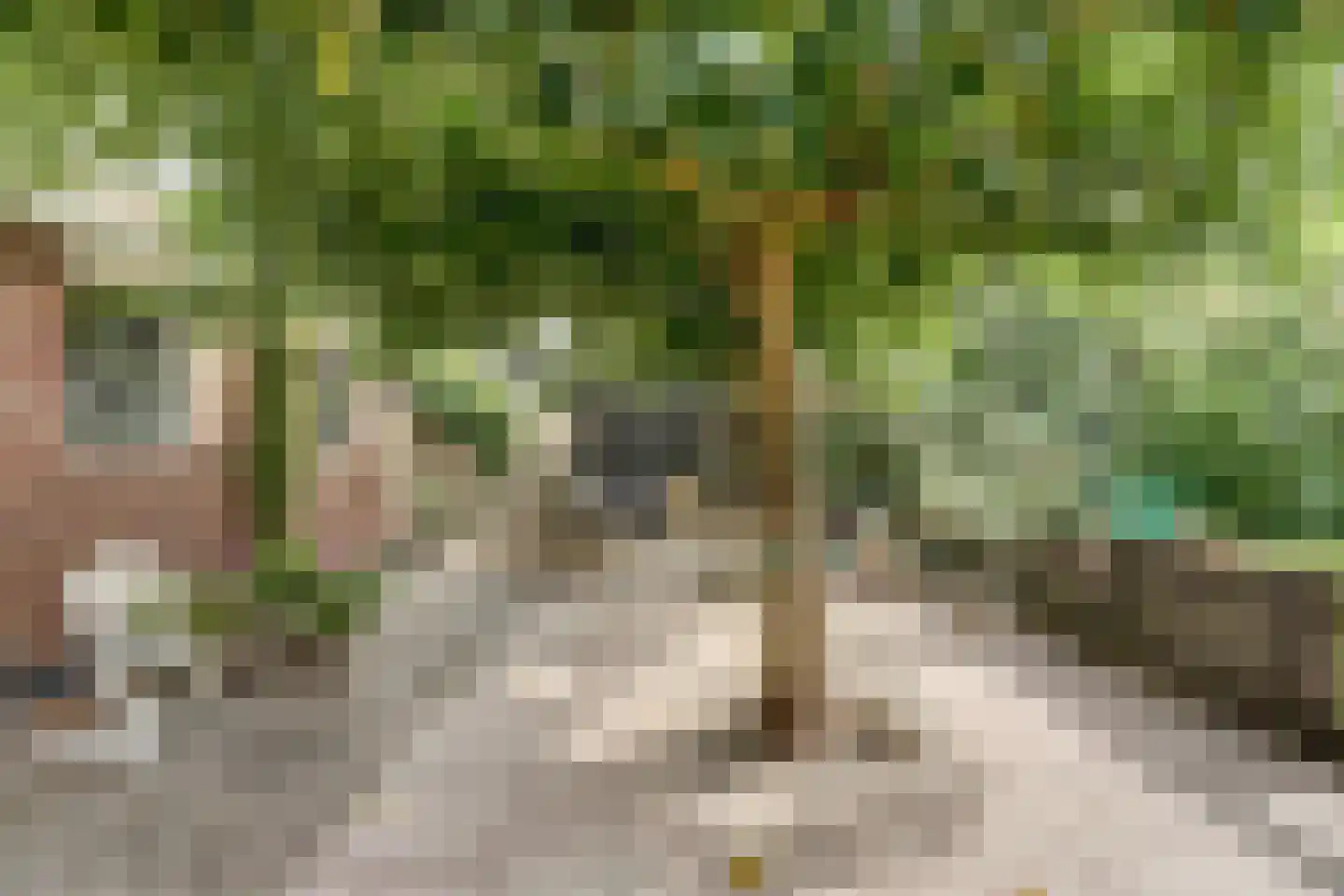 Lemsterpad 7 Lemmer thumbnail 22