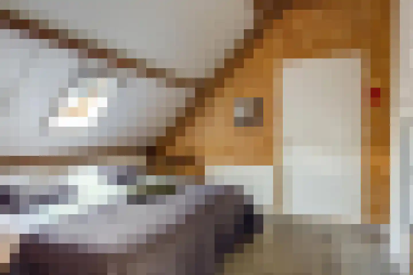 Lemsterpad 7 Lemmer thumbnail 61