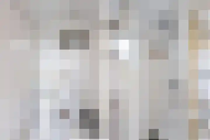 Lemsterweg 10 Langelille thumbnail 15