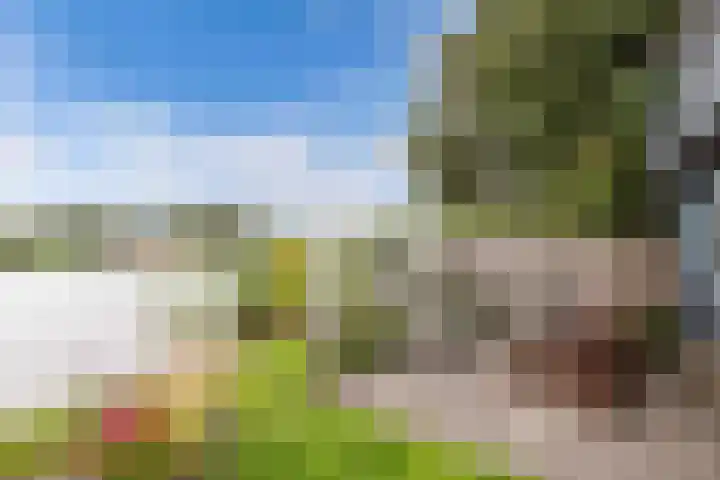Lemsterweg 10 Langelille thumbnail 17
