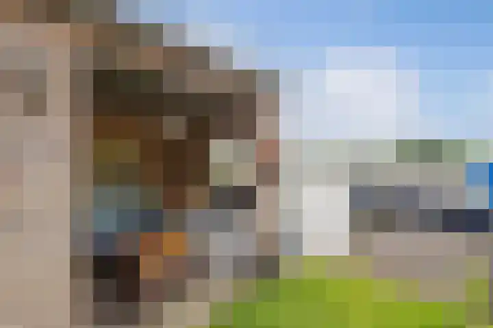Lemsterweg 10 Langelille thumbnail 18