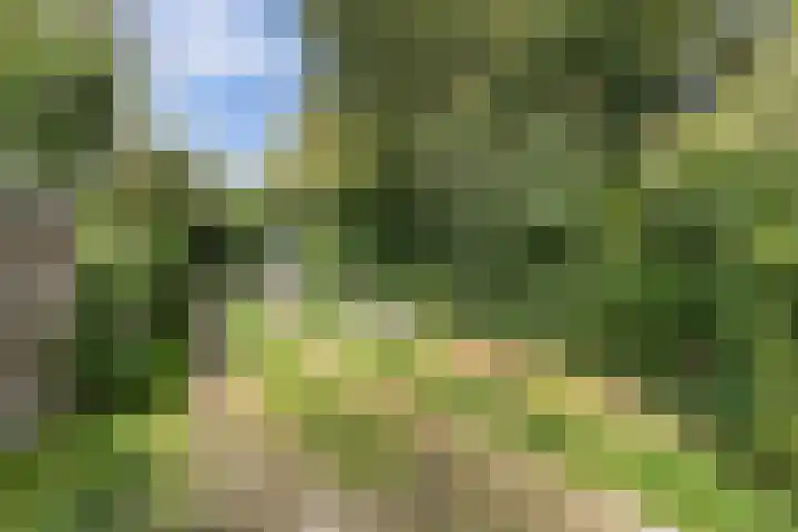 Lemsterweg 10 Langelille thumbnail 23